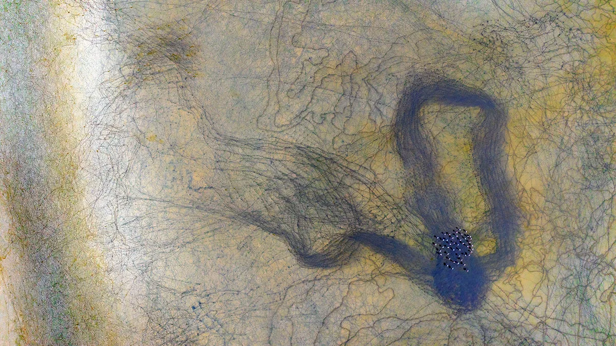 Swirling blue river seen from above.