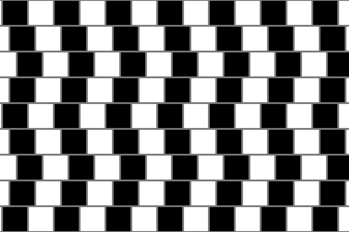 Grid of black and white squares.