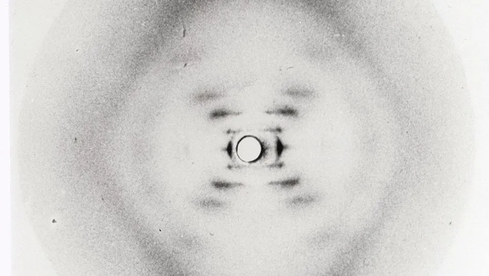 A photo taken by chemist and crystallographer Rosalind Franklin in 1952. The large dark patches at the top and bottom of the picture represent DNA’s bases, and the X-shaped blobs indicate a helix. The arms of the cross represent the planes of symmetry in a helix viewed from the side. Read more about this photo © KCL