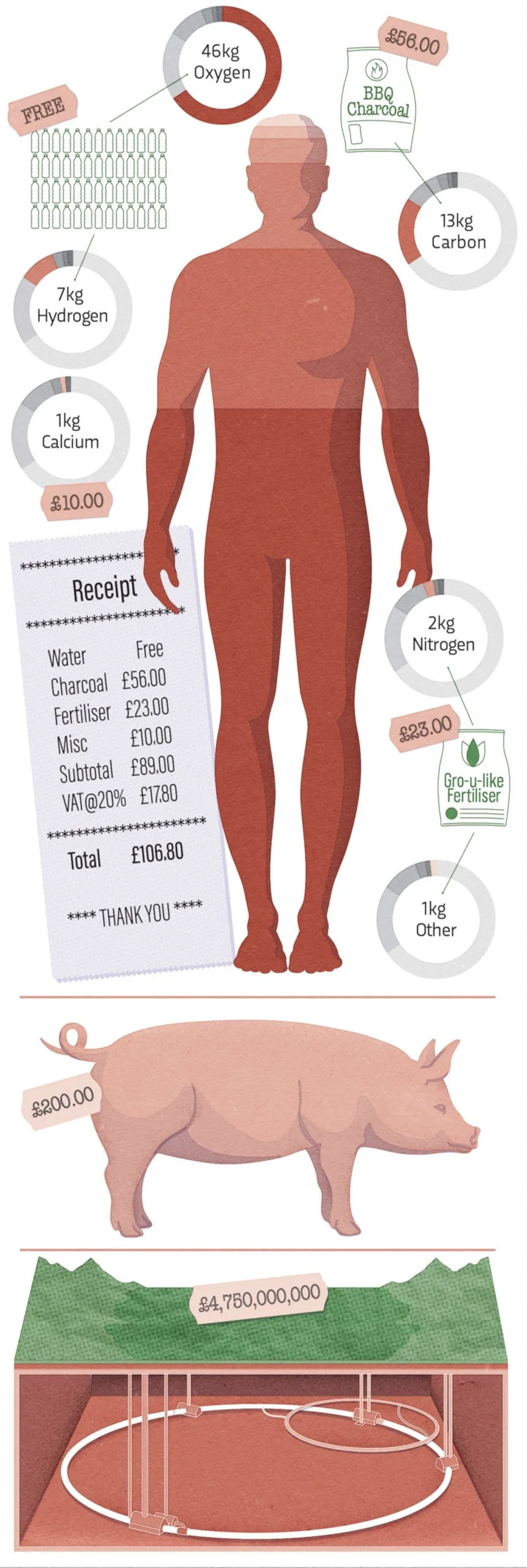 Illustration showing what the human body is worth based on its individual elements.