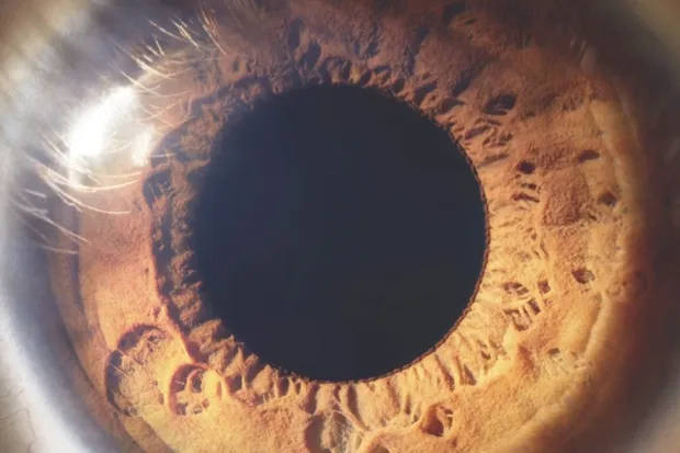 Brown-eyed men are viewed as more dominant then their blue-eyed friends (© Getty Images)